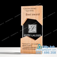 kỷ niệm chương